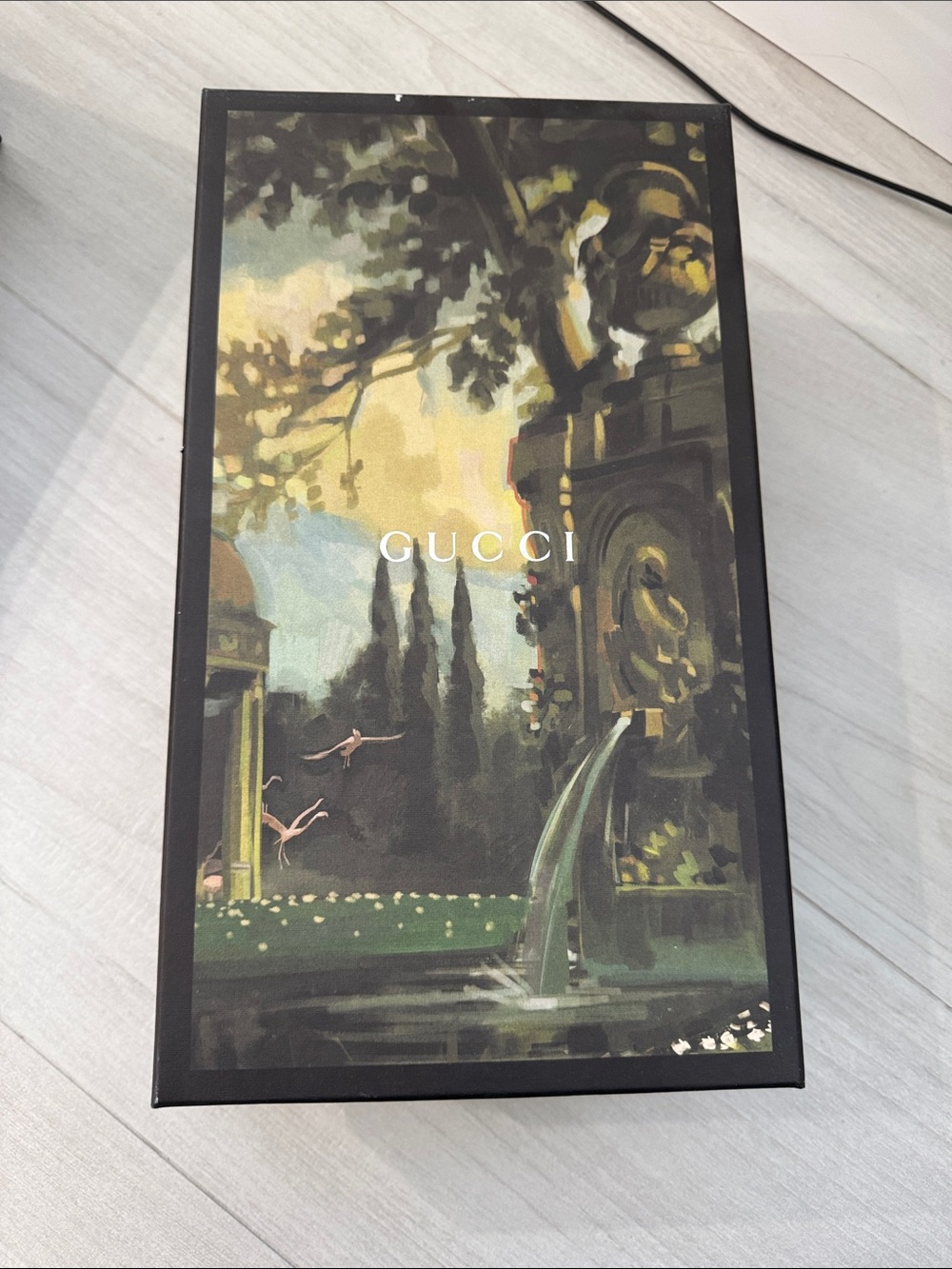 Gucci Green, Black and Gold Scenic Shoe box